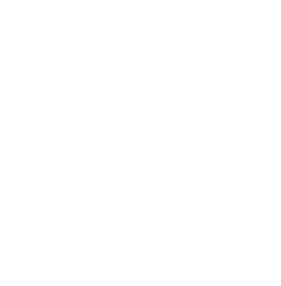 White logo - no background